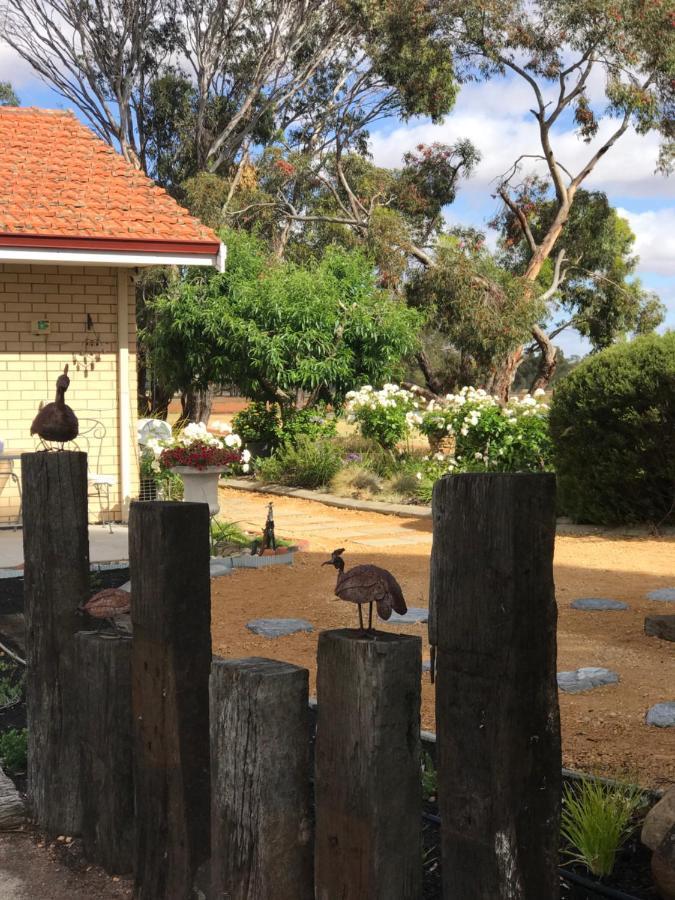 Yellow Gum Bed And Breakfast Katanning Eksteriør bilde