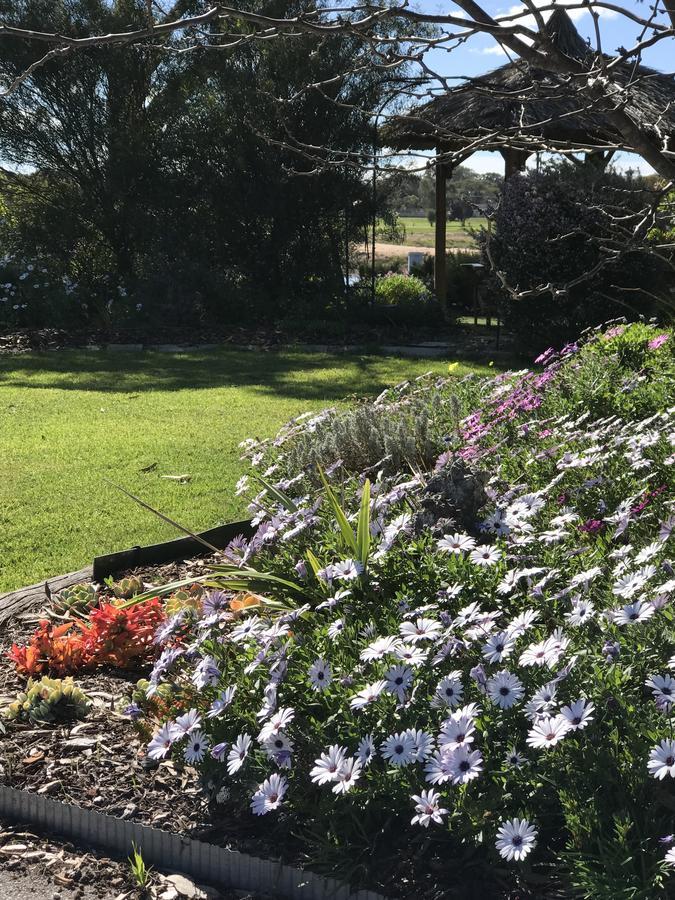Yellow Gum Bed And Breakfast Katanning Eksteriør bilde